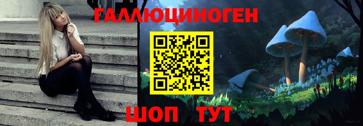 Кандалакша  Галлюциногенные грибы прущие грибы  где продают наркотики  Вход с VPN 